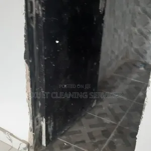 Professional Cleaning Services
