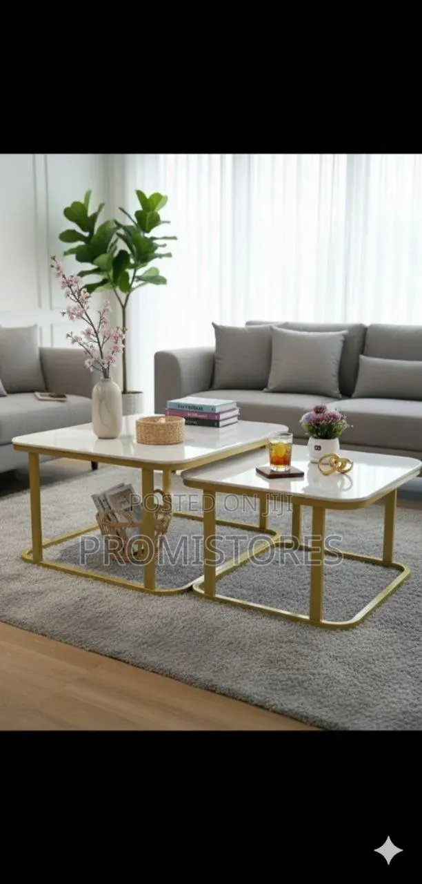 Square Shape Real Marble Twin Centre Table 70cmx60cm