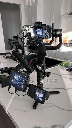 Professional Videographer