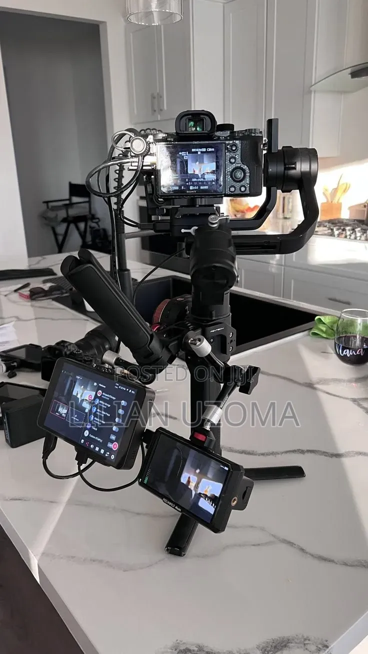 Professional Videographer