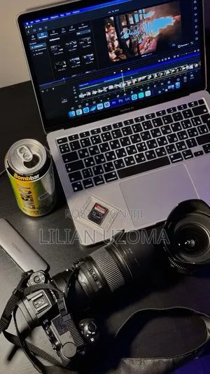 Professional Videographer
