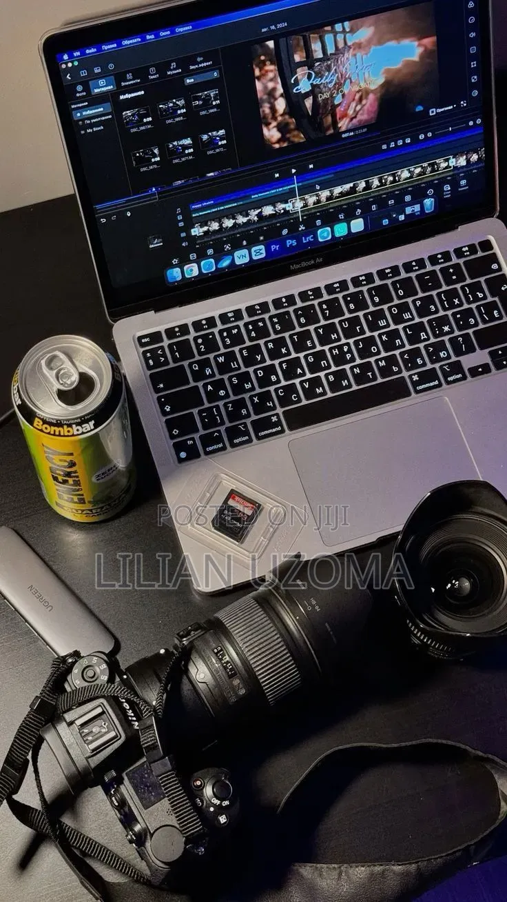 Professional Videographer