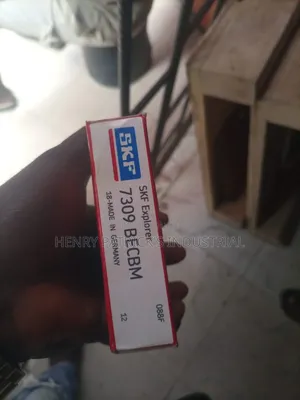 SKF Bearing