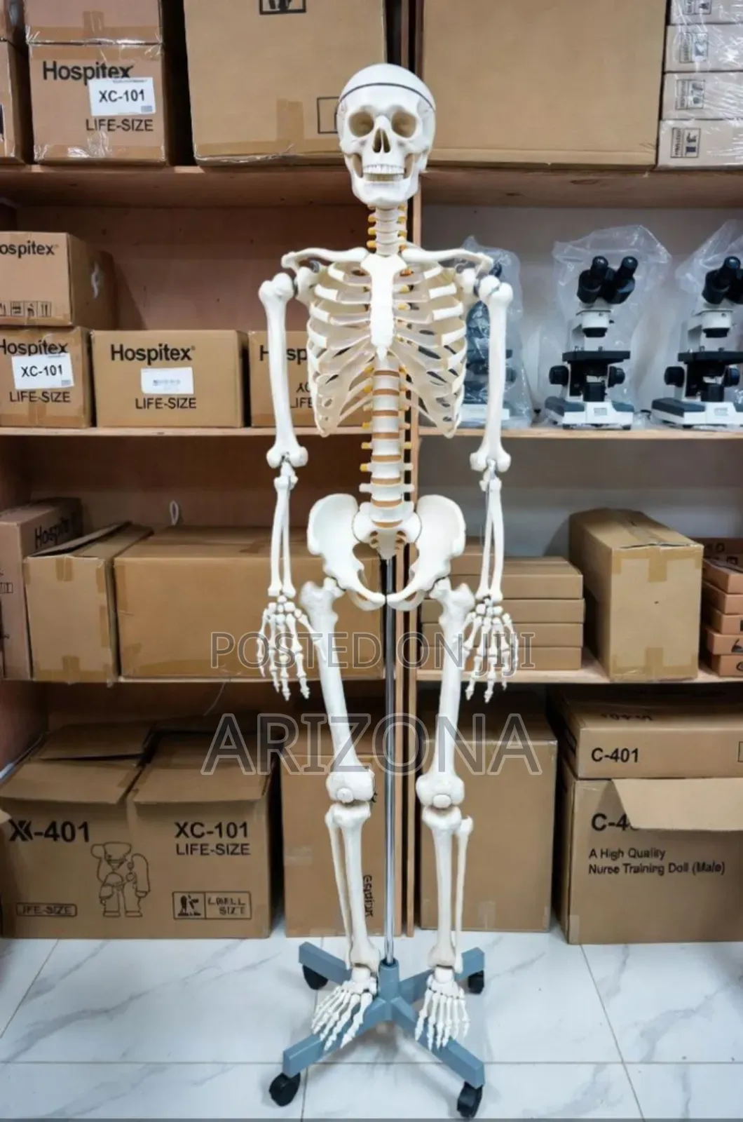 Practical Human Skeleton System