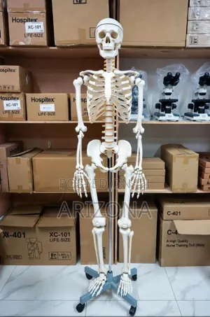 Practical Human Skeleton System