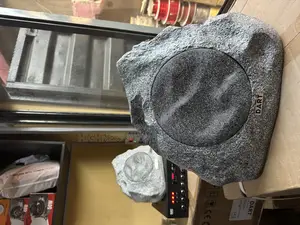 Dart Rock Speaker