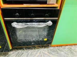 Built-in Gs Oven With Electric