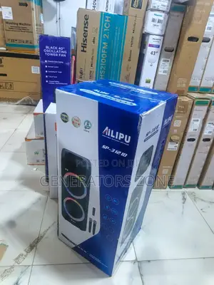 Ailipu Sound Box With 2 Microphone Connection
