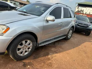 Mercedes-Benz M Class 2010 Silver