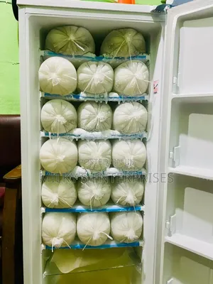 Yohako Upright Freezer (Ice Block Maker)