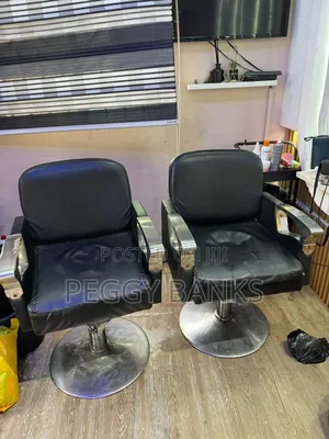 Salon Chair