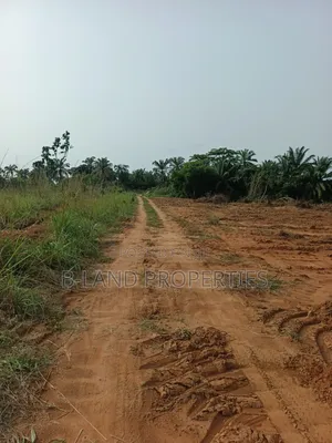 Akuoma Estate Ukwulu | Properties for Investment