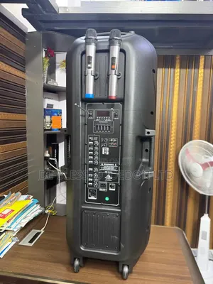 Audioking Public Address System Double 15 in Loudspeaker