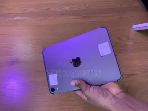 Apple iPad mini 6 64 GB Gray