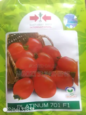 Platinum 701 F1 Tomato 10grams and 5 Grams Available