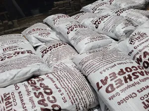 Washed Cocopeat - Seed Nursing Soil