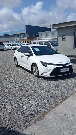 Toyota Corolla 2022 White