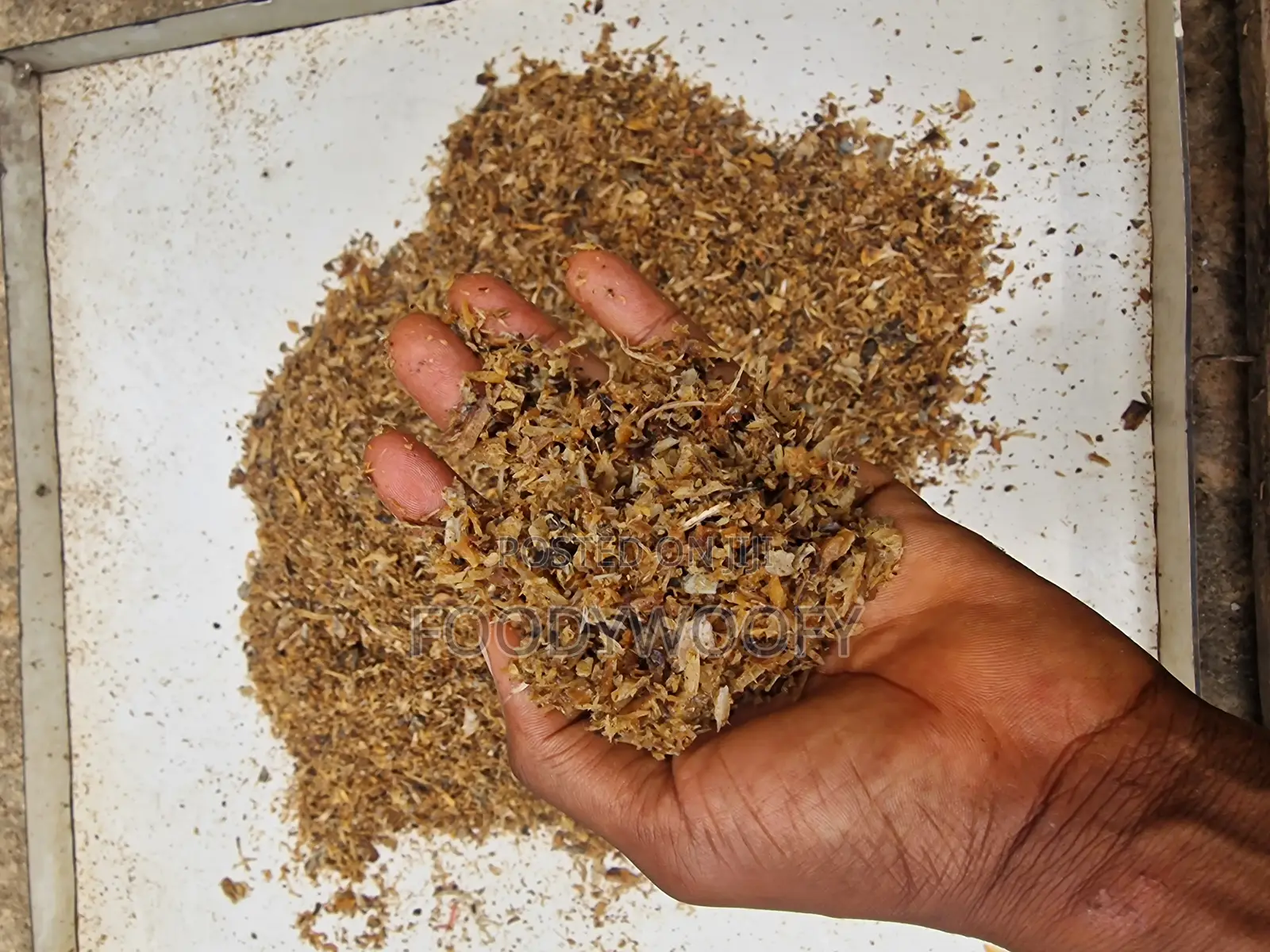 Grinded Cat Fish ( for Dogs )
