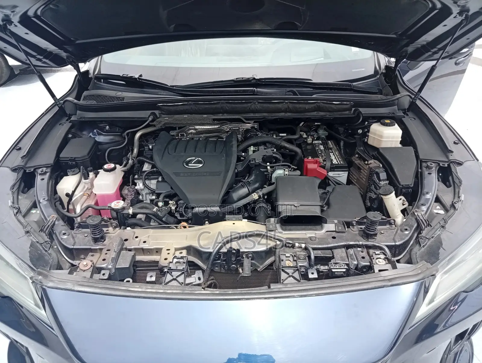Lexus RX 2023 Blue