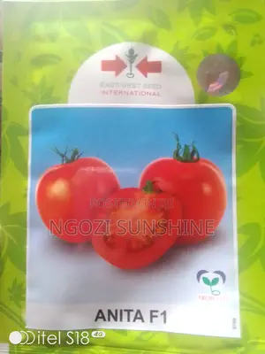 Tomato Anita F1