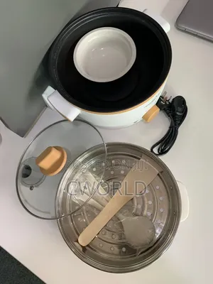 Multi-Function Electric Pot