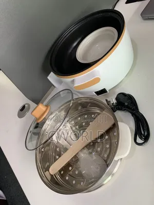 Multi-Function Electric Pot