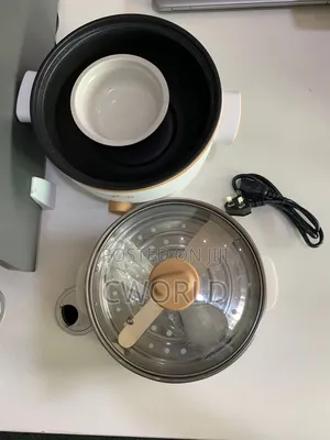 Multi-Function Electric Pot