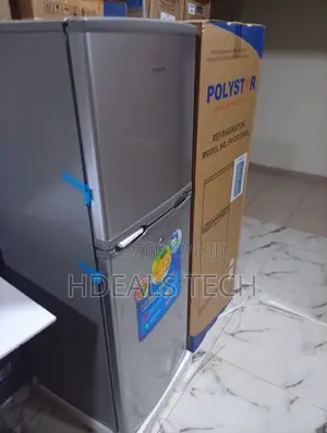 Original Polystar Pv-Dd250l Fridge Available for You