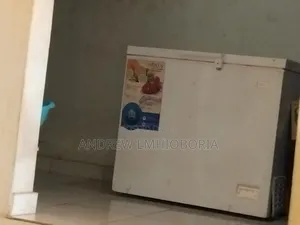 200l Nexus Deep Freezer