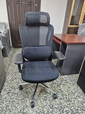 Executive Office Mesh Ergonomic Chair