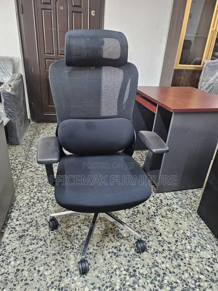 Executive Office Mesh Ergonomic Chair