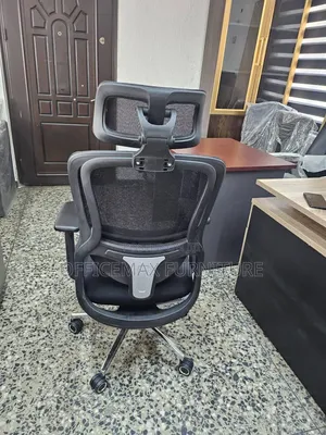 Executive Office Mesh Ergonomic Chair