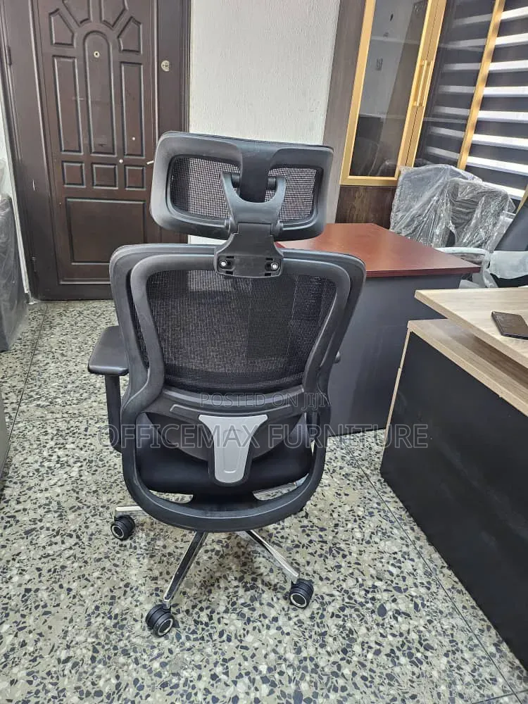 Executive Office Mesh Ergonomic Chair