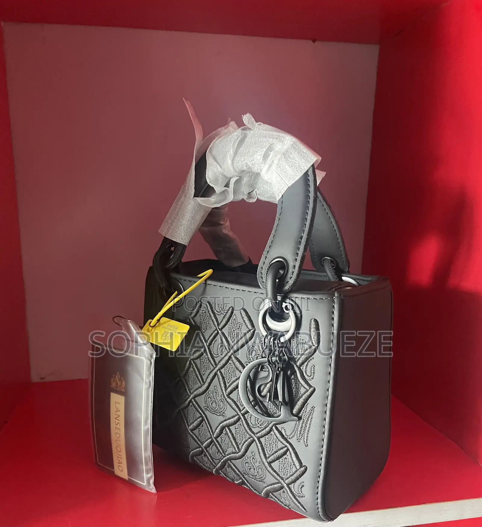 A Classy Black Mini Hand Bag