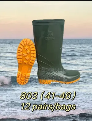Zebra 803 Boot