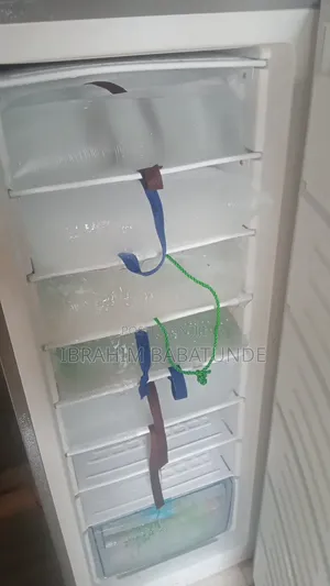 Skyrun Standing Freezer