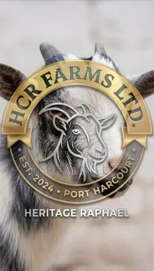 Big Healthy Male Goat for Sale