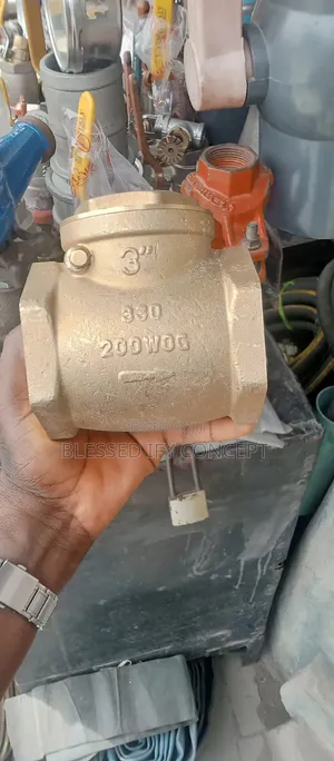 3" Italian Brass Non Return Valve