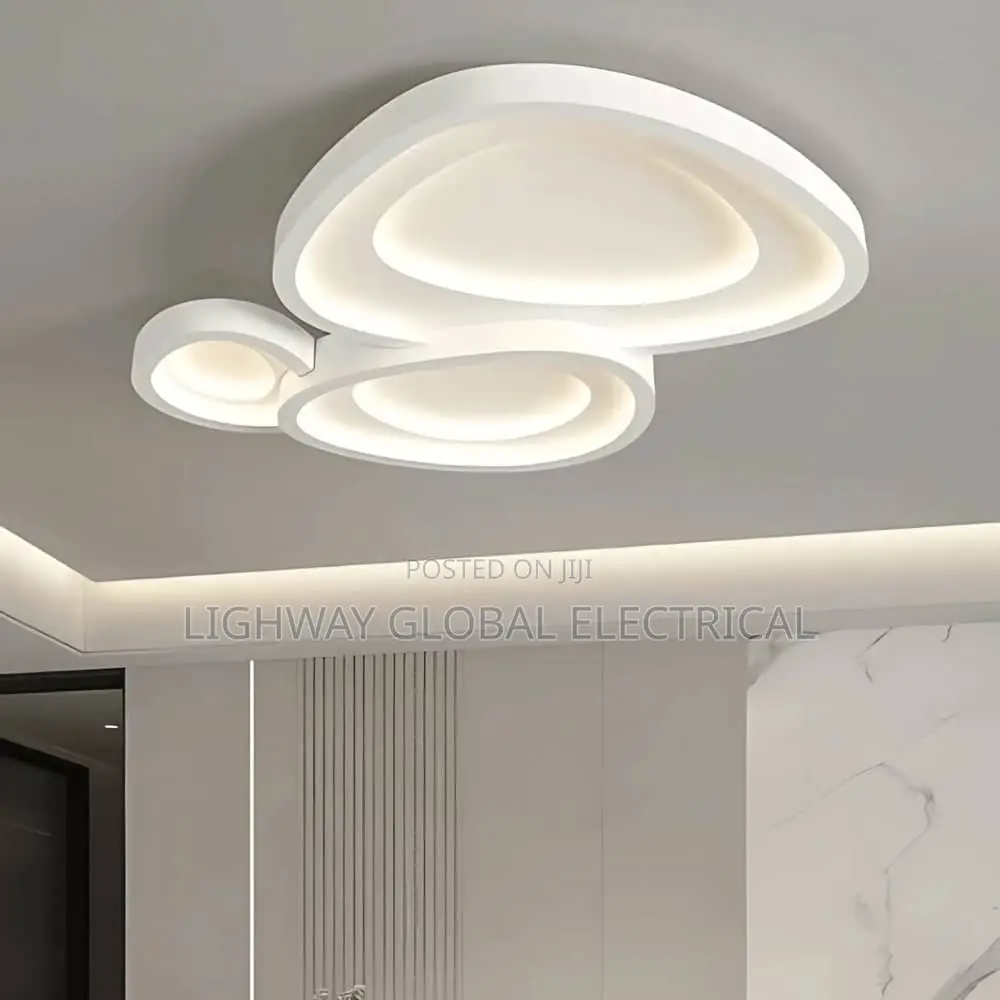 Nordic Designer Led Ceiling Light With Remote