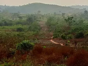 Anambra Land Deals You Don’T Want to Miss