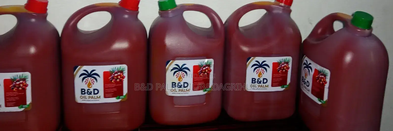 B Dpalm Oil