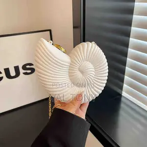 Acrylic Purses Bags Fashion Ladies