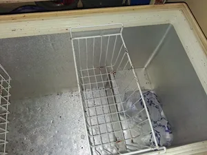 290 Liters Lg Deep Freezer