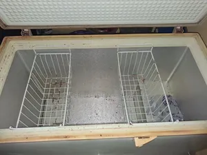 290 Liters Lg Deep Freezer