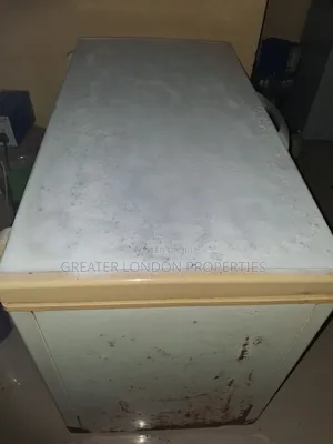 290 Liters Lg Deep Freezer