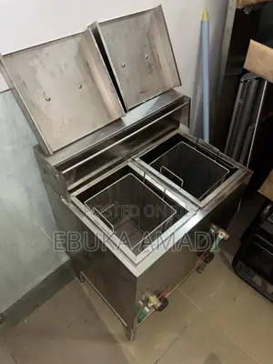 40 Litres 2 Basket Gas Deep Fryer