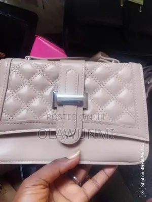 Hand And Shoulder Bag