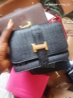 Hand And Shoulder Bag