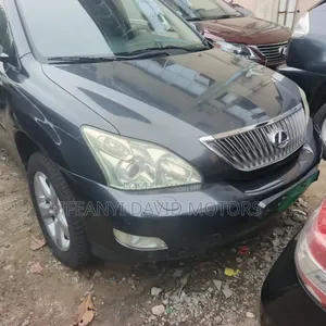 Lexus RX 330 2005 Gray