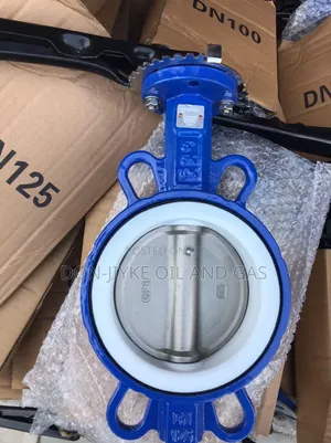 Stainless Steel Flange Butterfly Valve